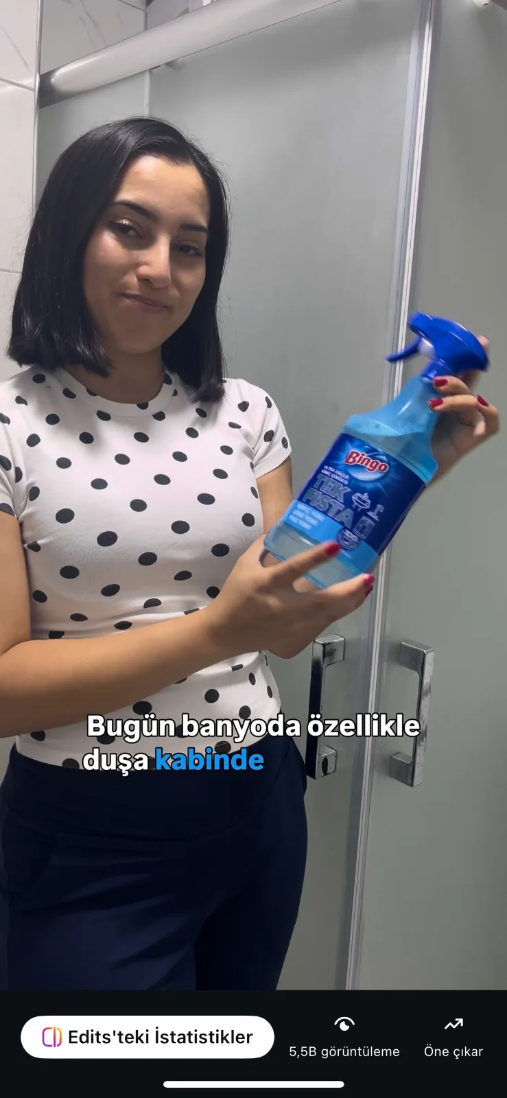 portfolyo