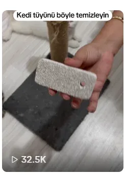 portfolyo