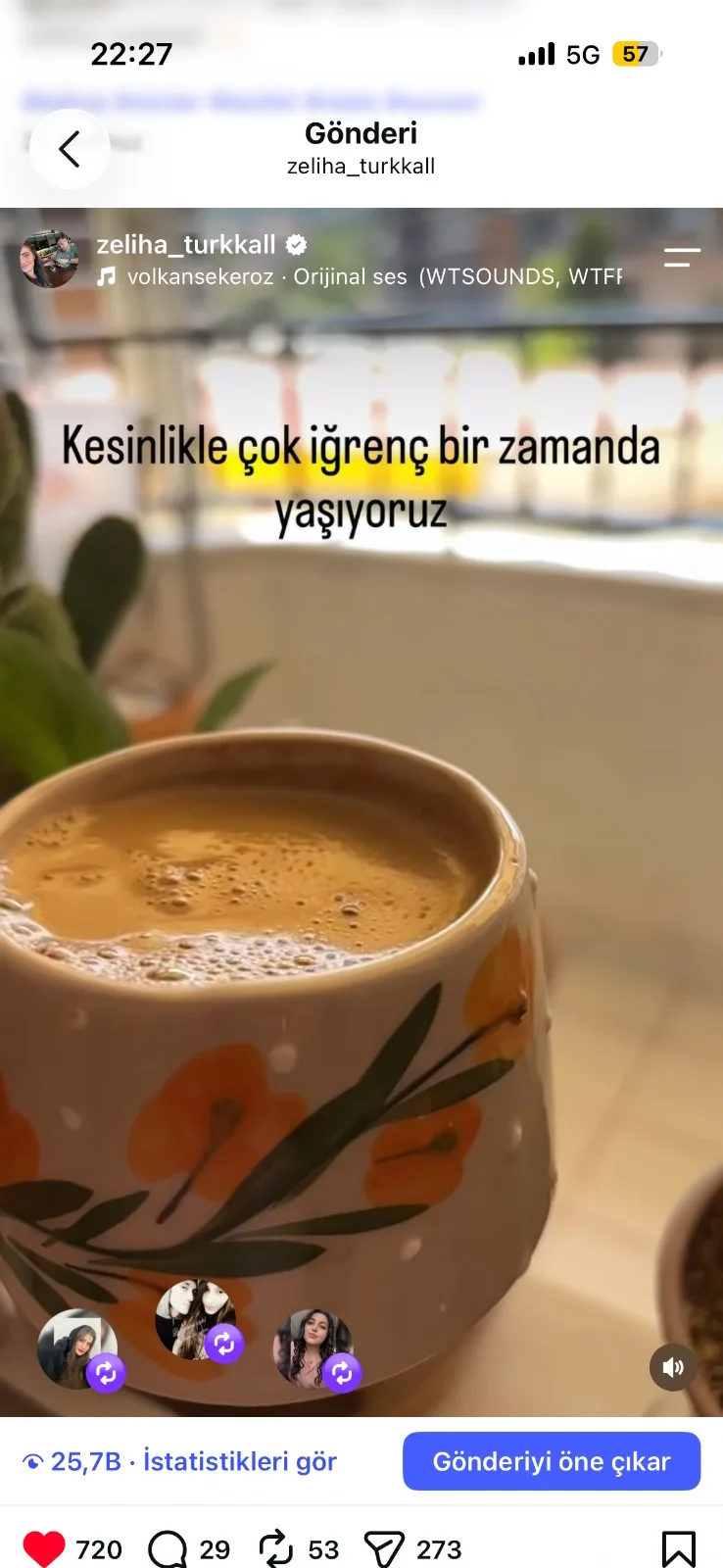 portfolyo