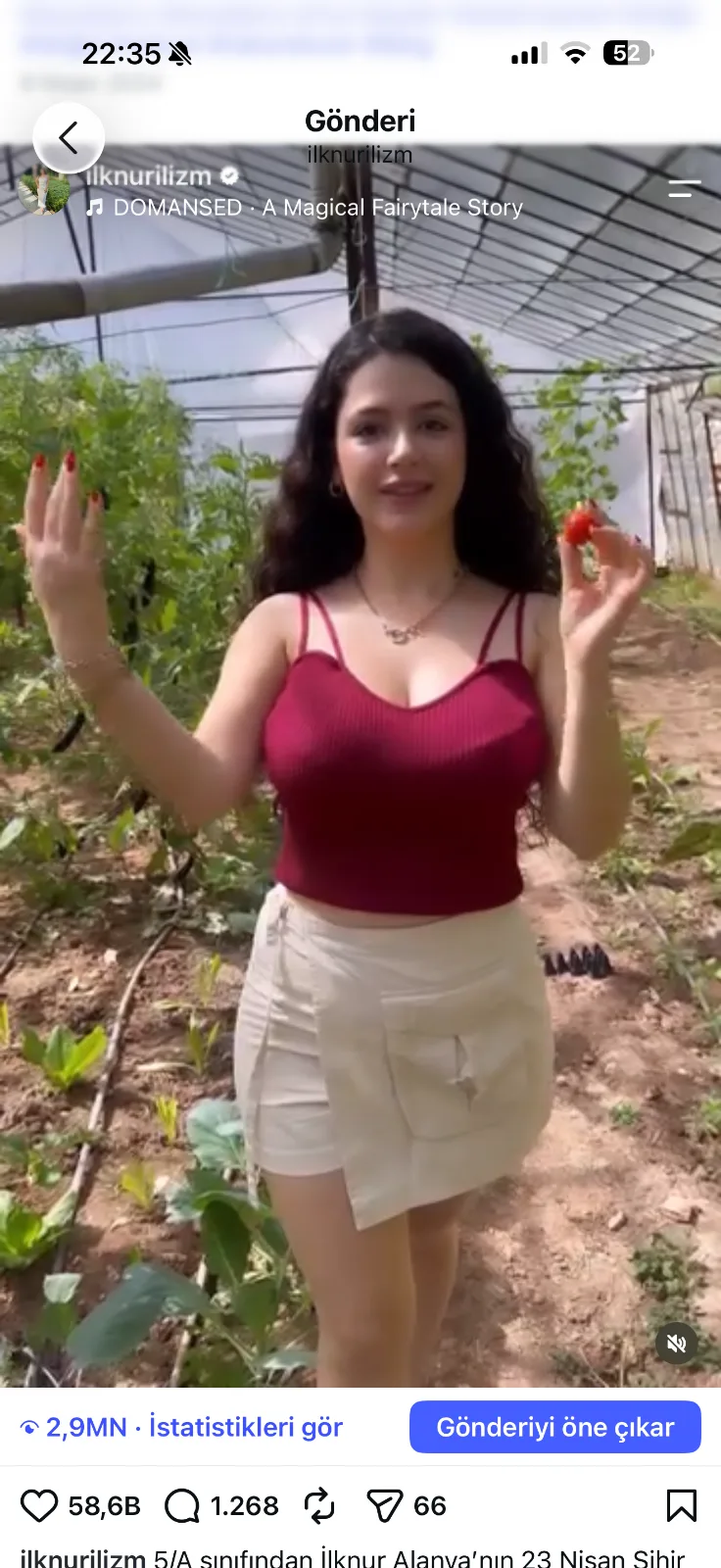 portfolyo