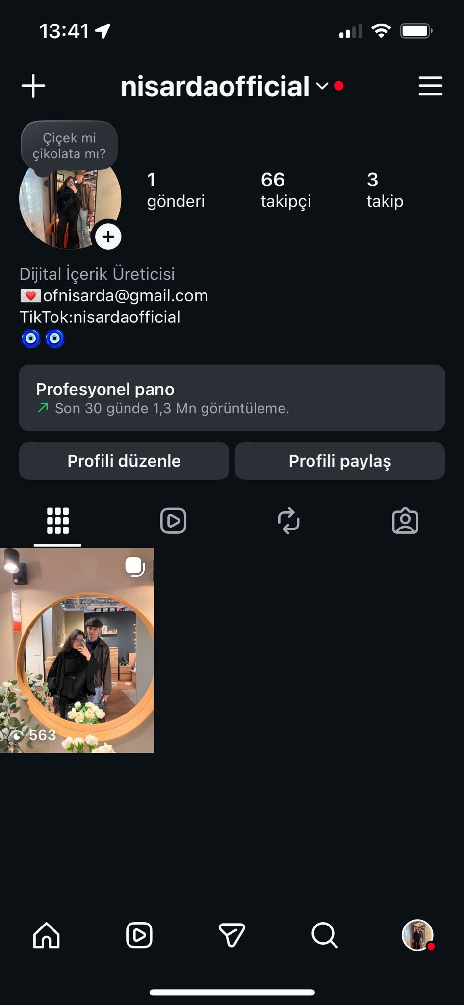 portfolyo
