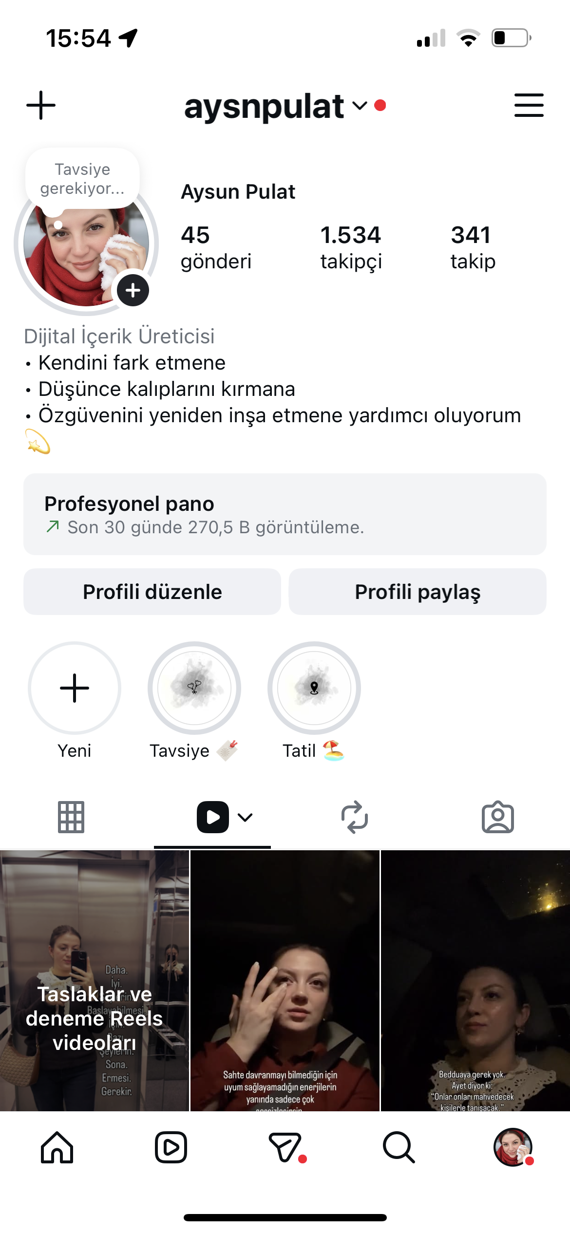 portfolyo