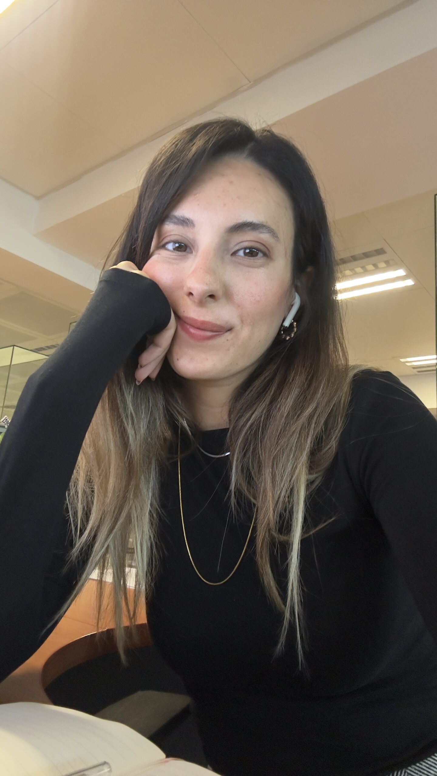 portfolyo