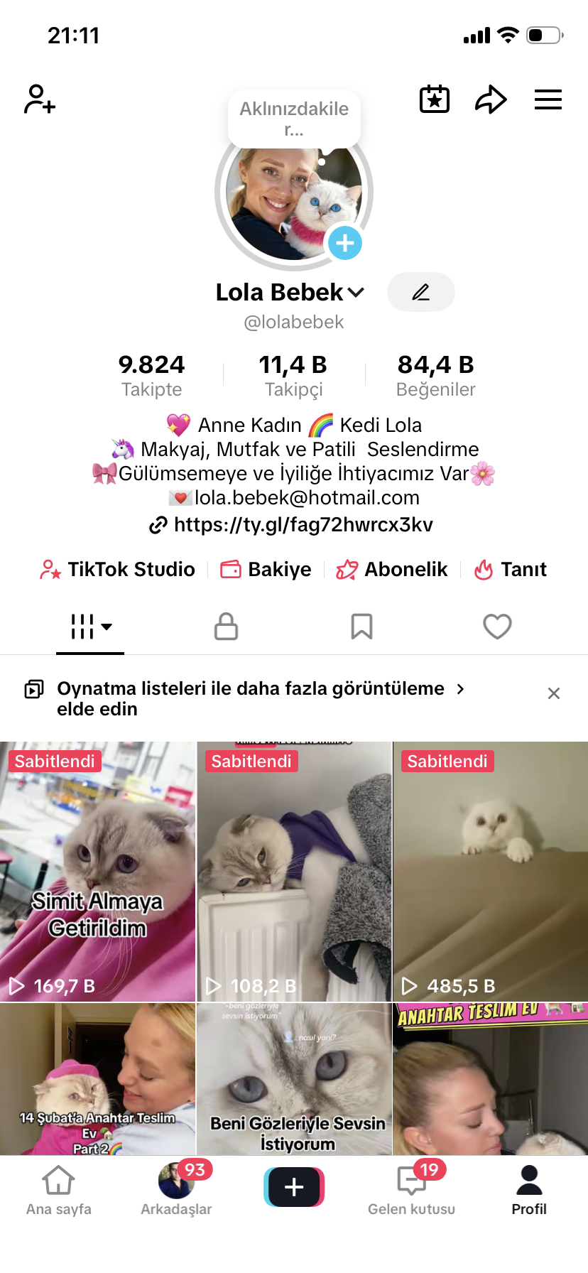 portfolyo