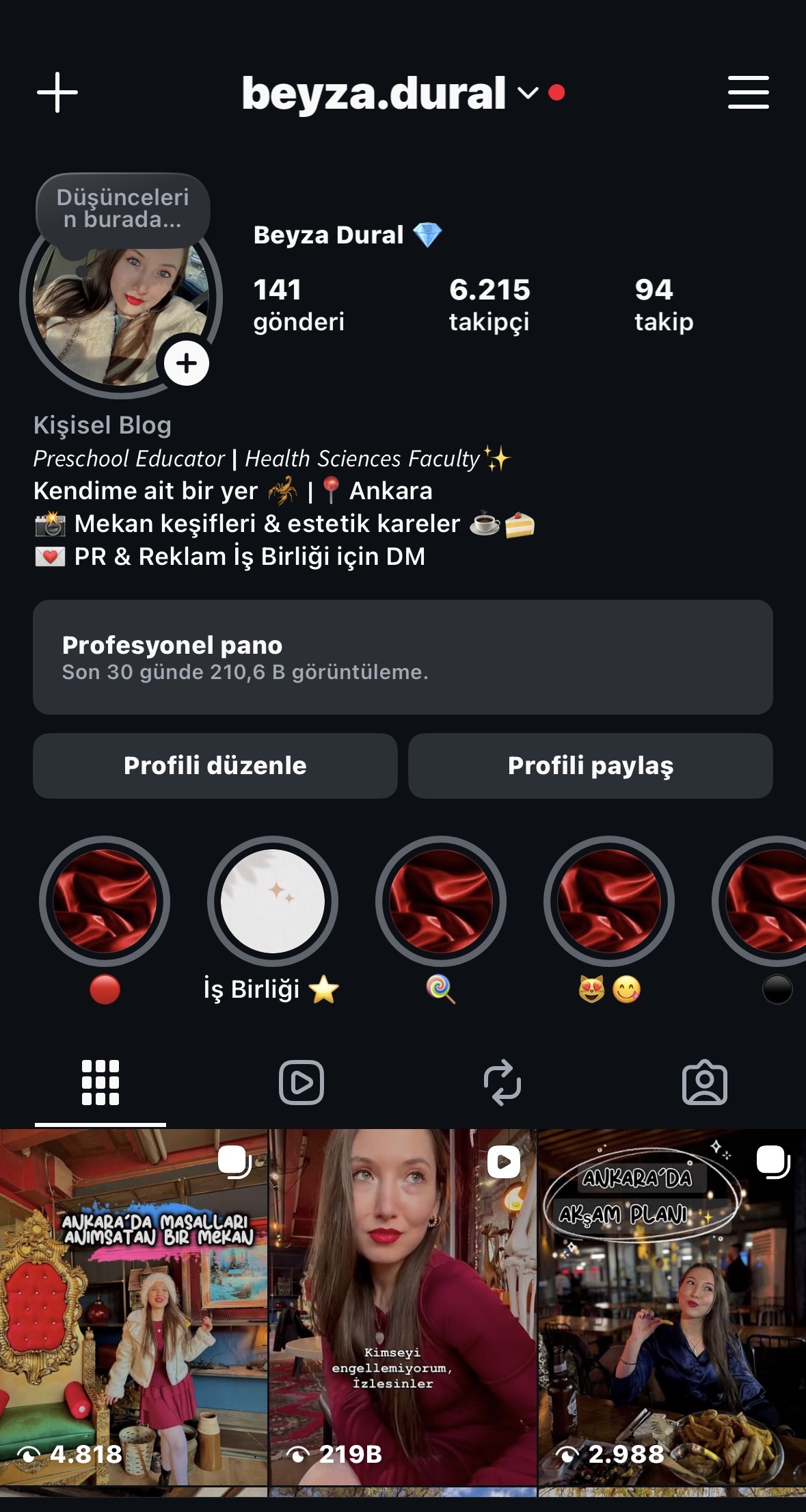 portfolyo