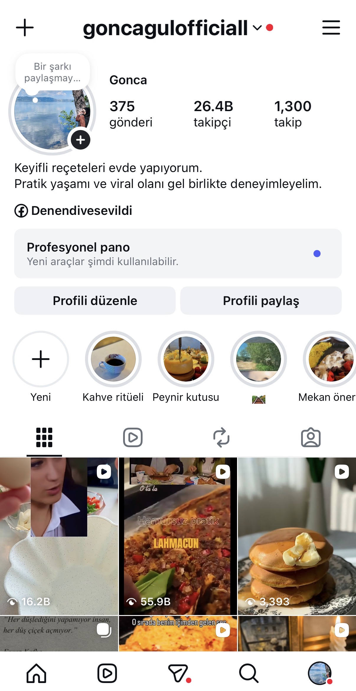 portfolyo
