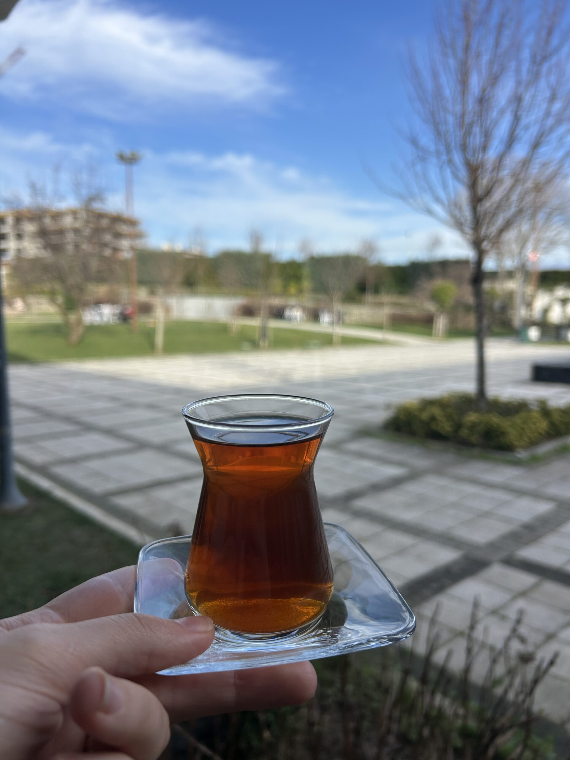 portfolyo