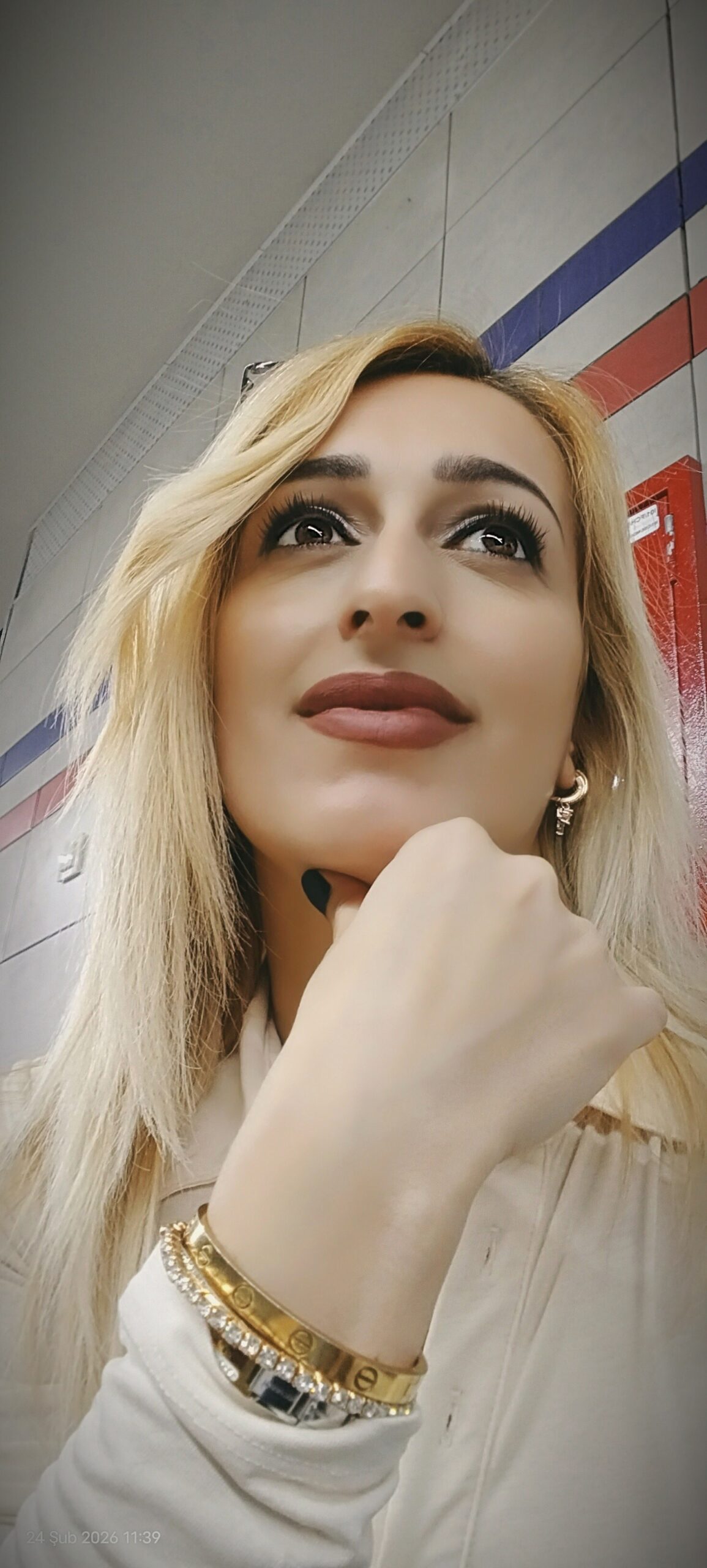 portfolyo