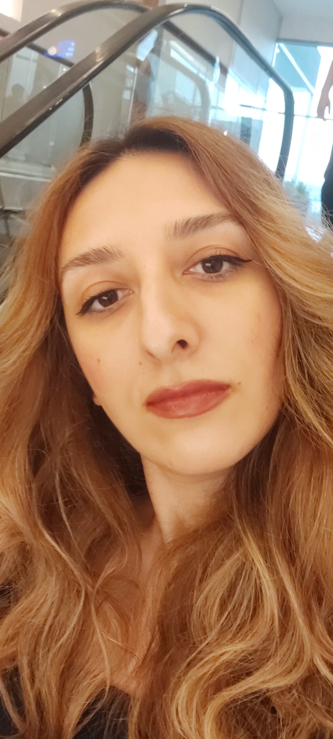 portfolyo