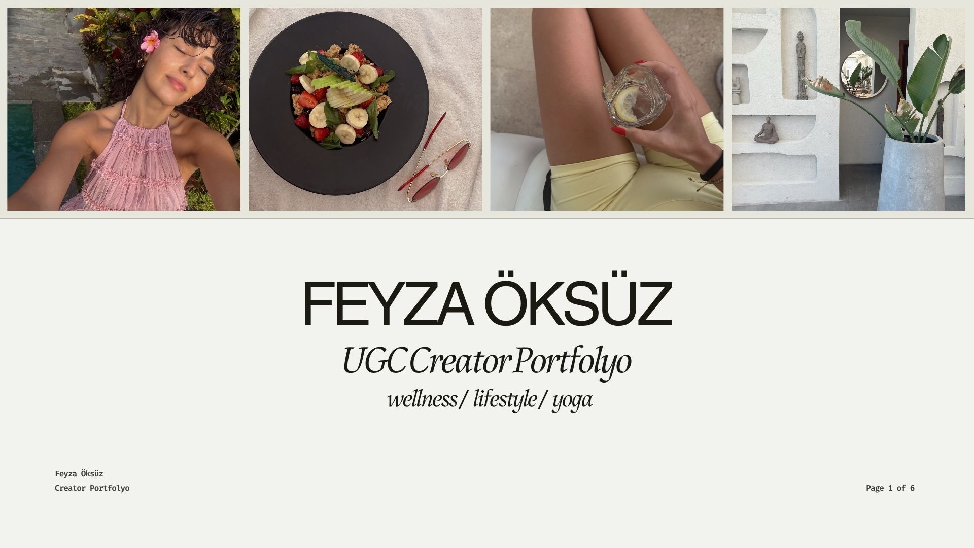 portfolyo
