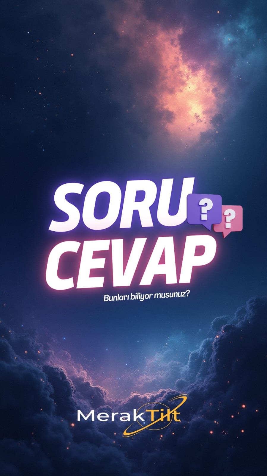 portfolyo